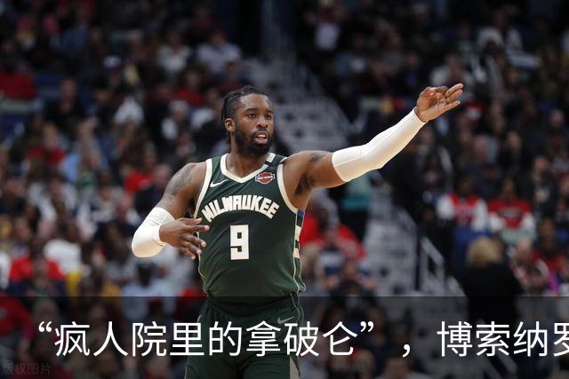 “疯人院里的拿破仑”，博索纳罗遭到各国网民群嘲