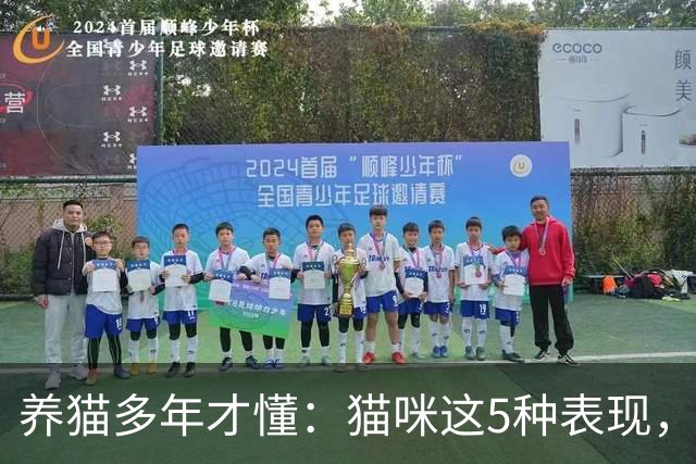 养猫多年才懂：猫咪这5种表现，不是撒娇，是旺家的征兆
